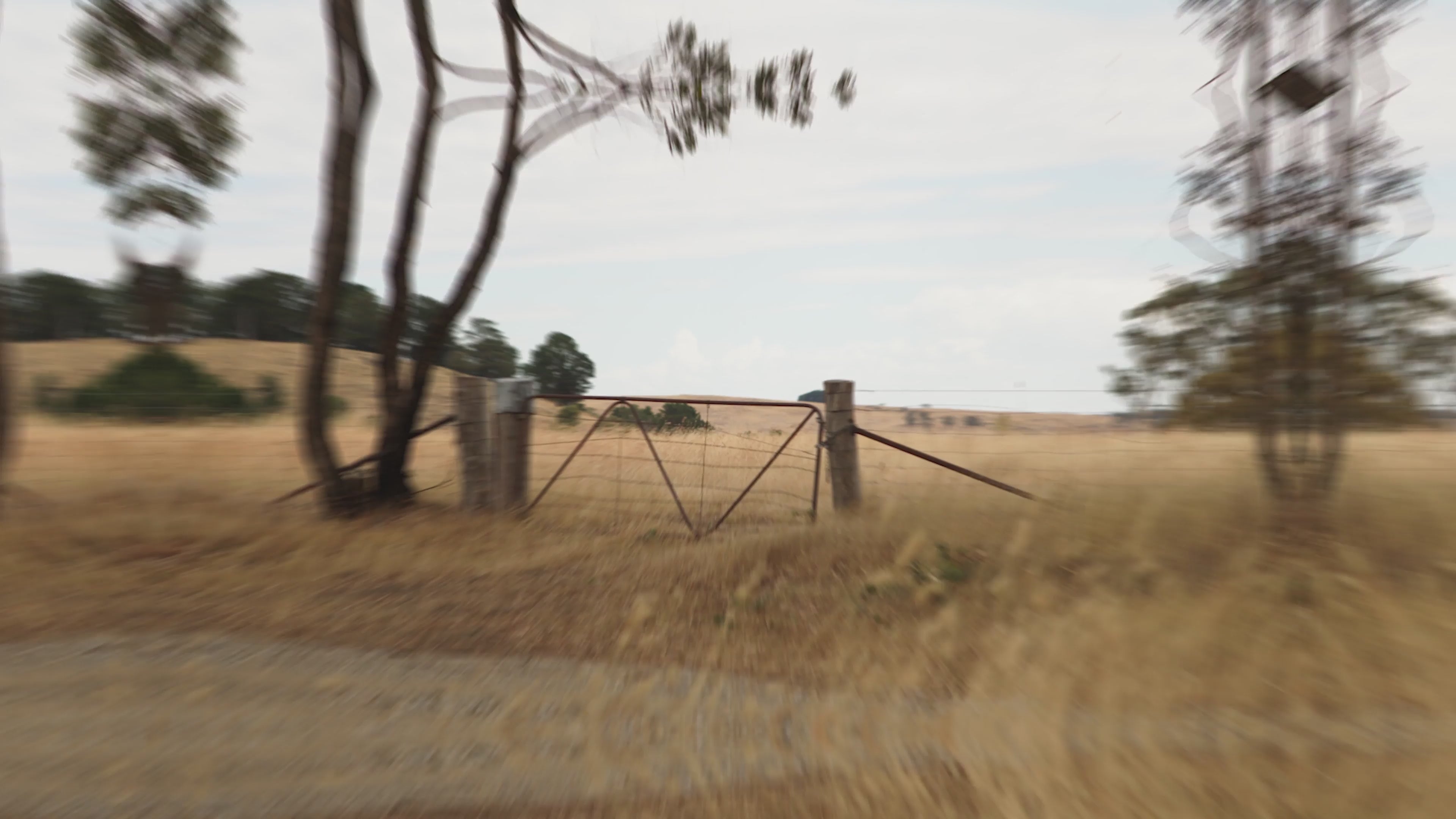 Load video: Meet the Jimmy Wheel